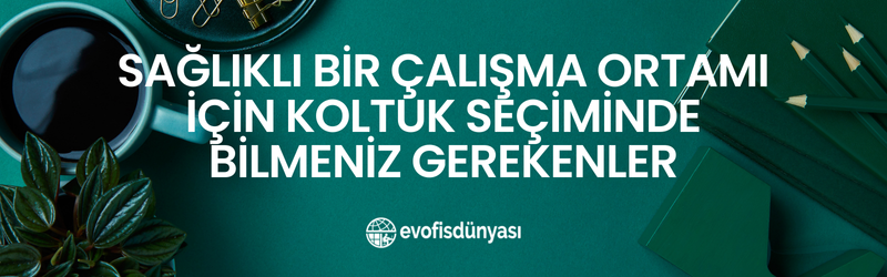 Sağlıklı Bir Çalışma Ortamı İçin Koltuk Seçiminde Bilmeniz Gerekenler
