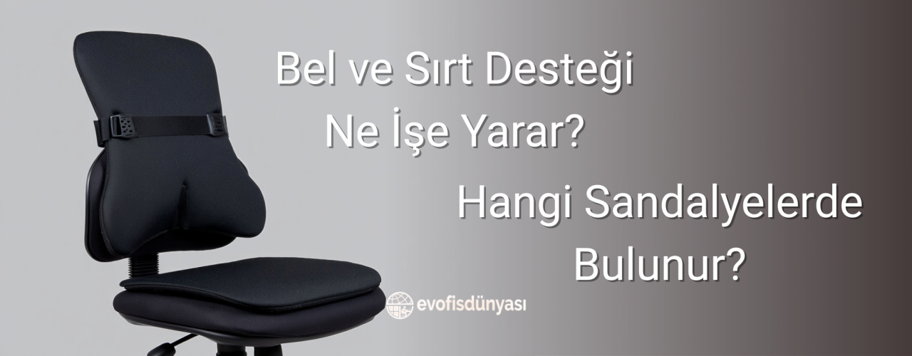 Bel ve Sırt Desteği Ne İşe Yarar? Hangi Sandalyelerde Bulunur?