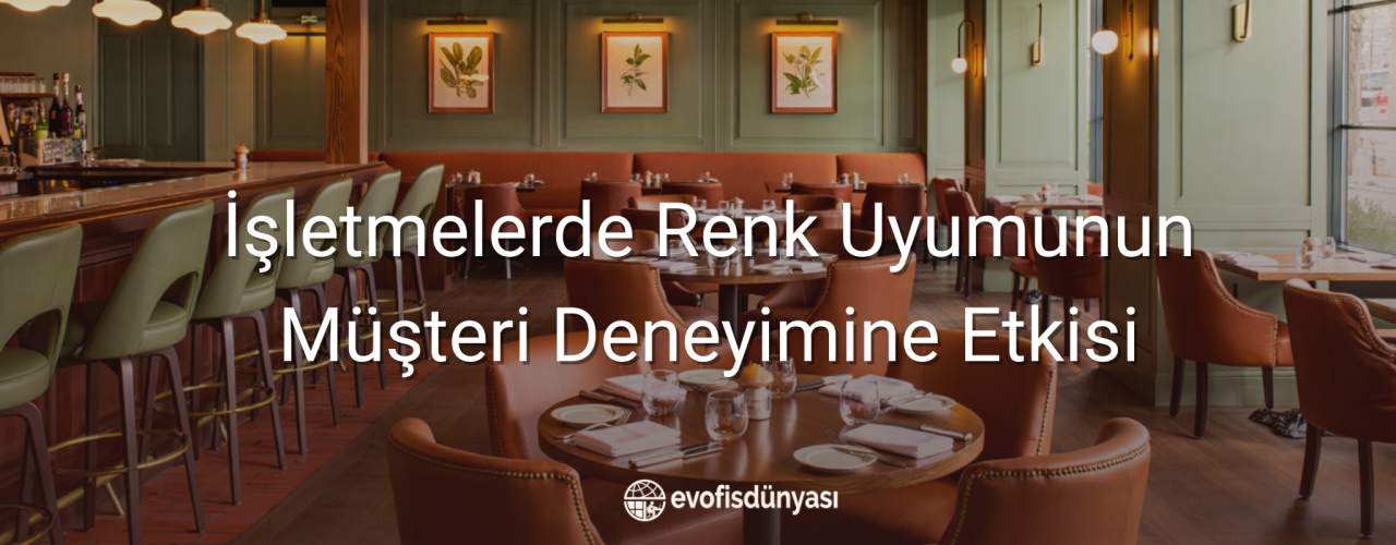 İşletmelerde Renk Uyumunun Müşteri Deneyimine Etkisi
