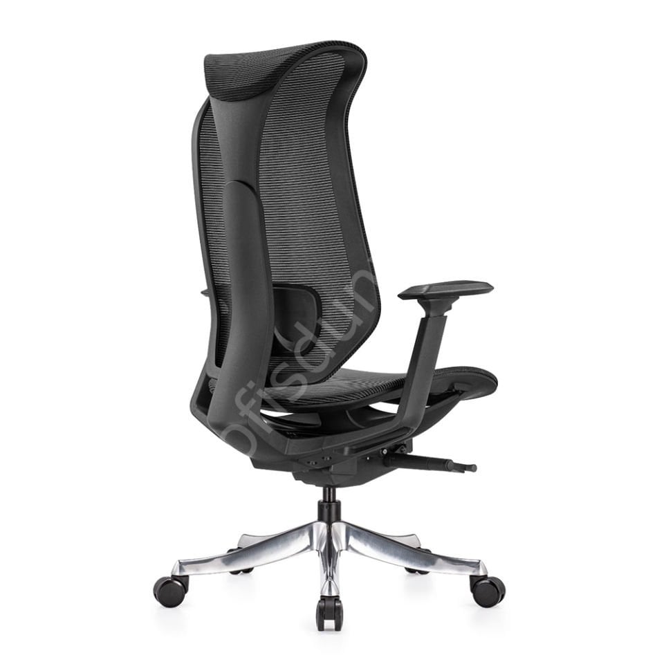 Es Fonksiyonel Yönetici Koltuğu Siyah