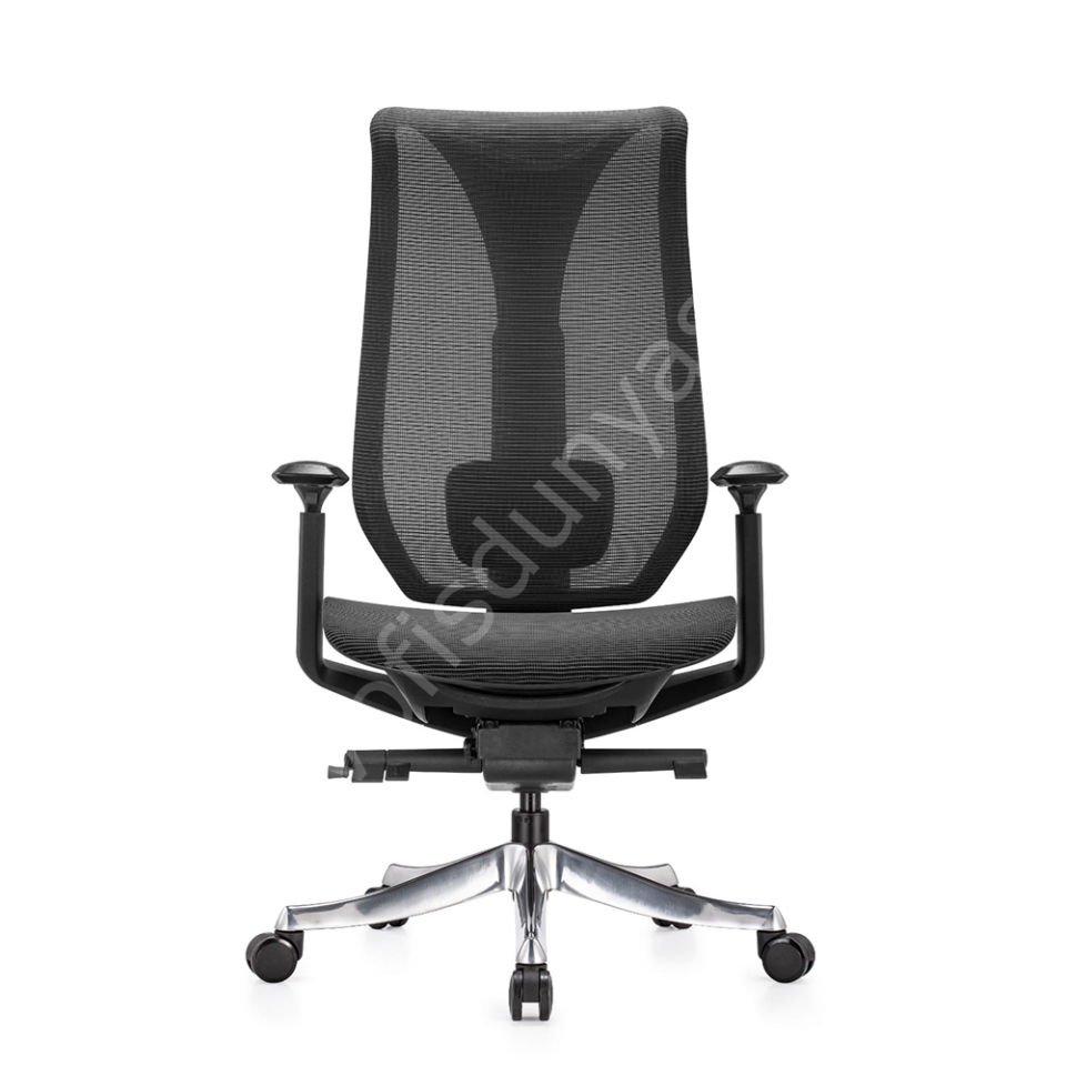 Es Fonksiyonel Yönetici Koltuğu Siyah