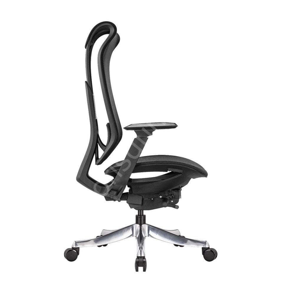 Es Fonksiyonel Yönetici Koltuğu Siyah