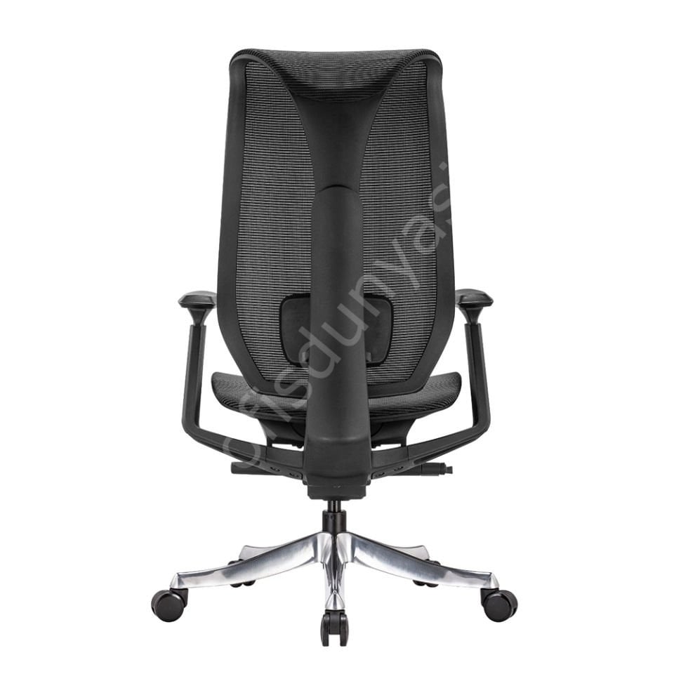 Es Fonksiyonel Yönetici Koltuğu Siyah