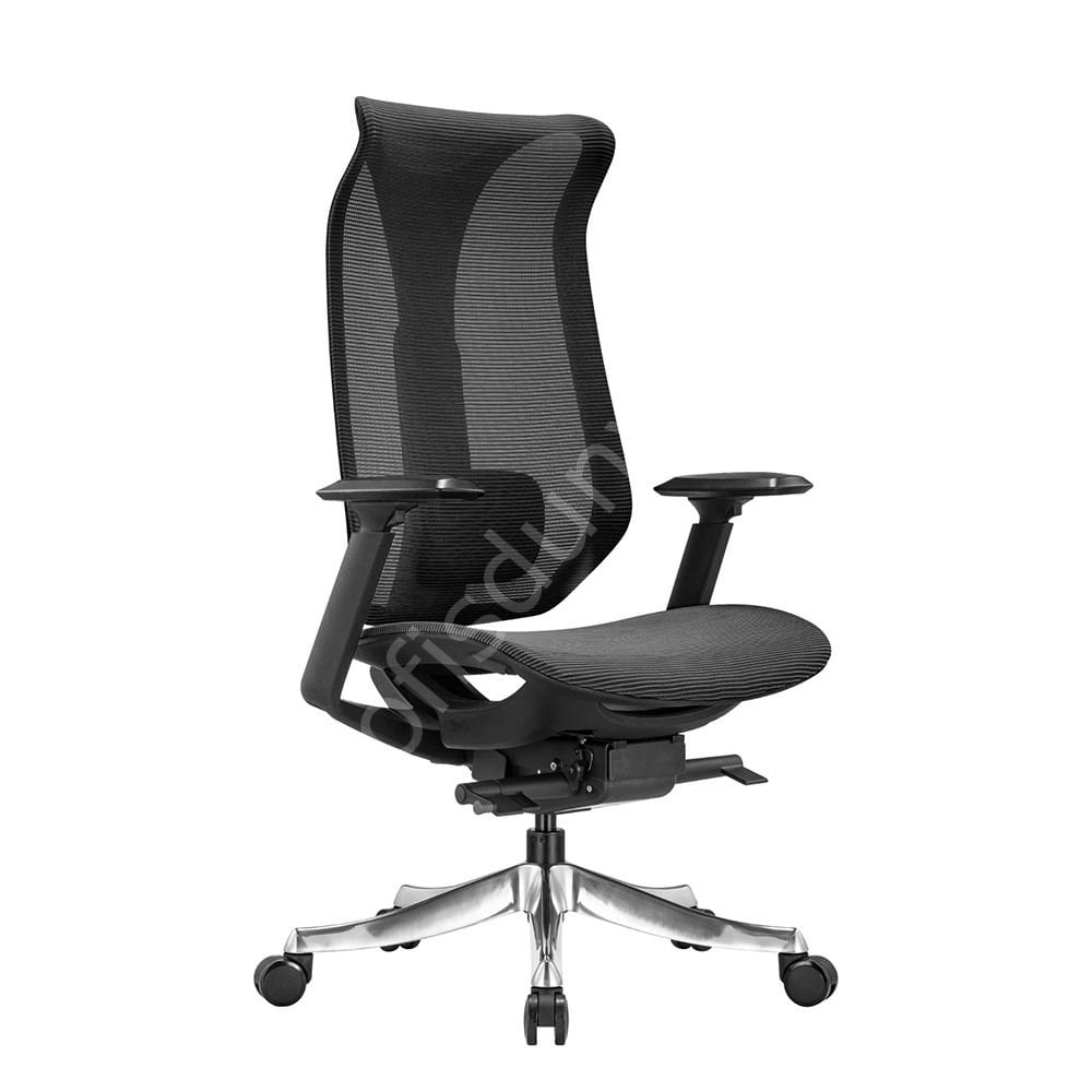 Es Fonksiyonel Yönetici Koltuğu Siyah