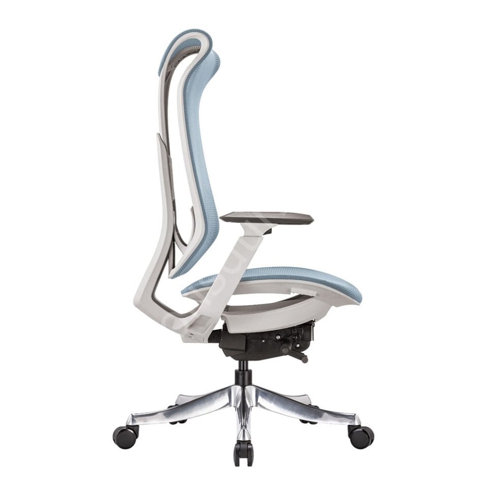 Es Fonksiyonel Yönetici Koltuğu Mavi