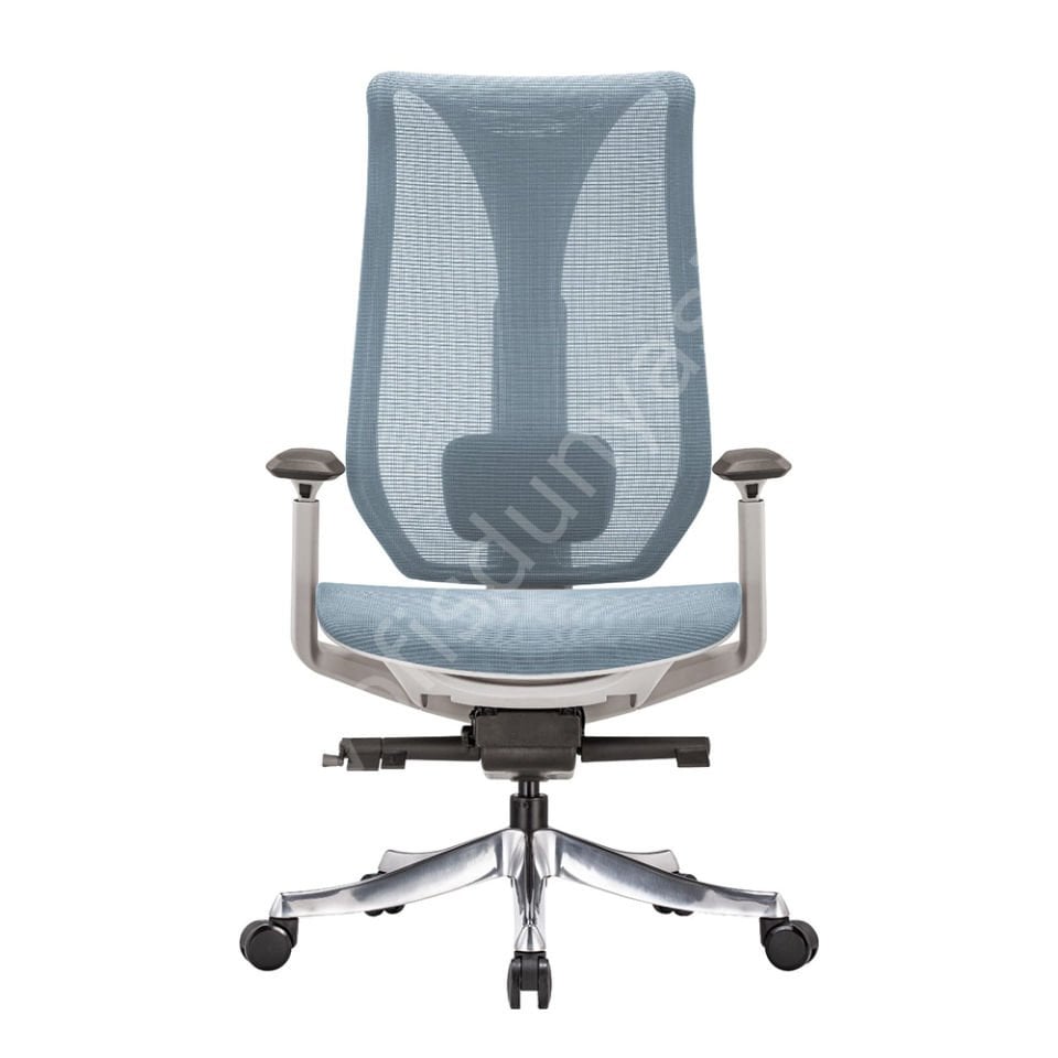 Es Fonksiyonel Yönetici Koltuğu Mavi