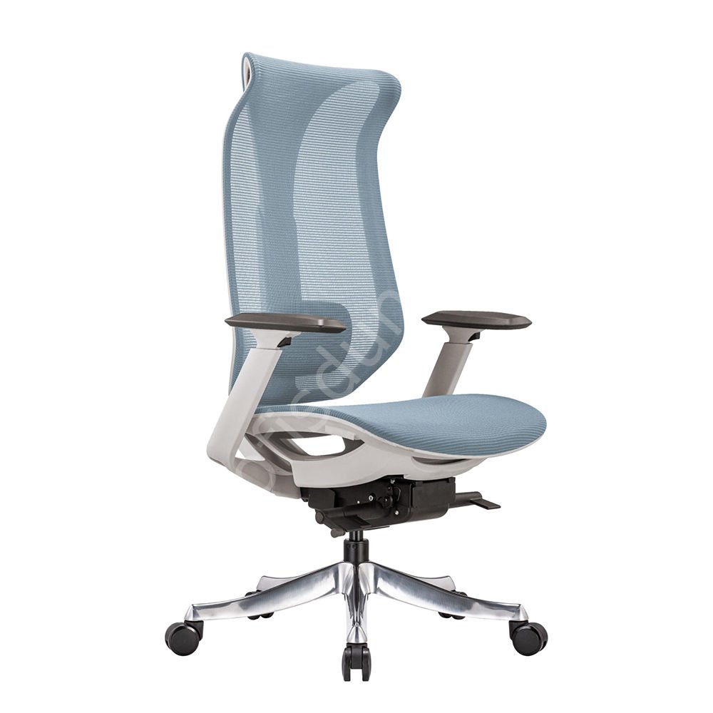 Es Fonksiyonel Yönetici Koltuğu Mavi