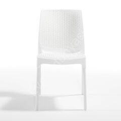 Lost PP Rattan Sandalye Kolsuz Beyaz