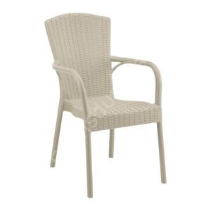 Laroy PP Kollu Rattan Görünümlü Sandalye
