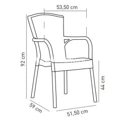 Laroy PP Kollu Rattan Görünümlü Sandalye