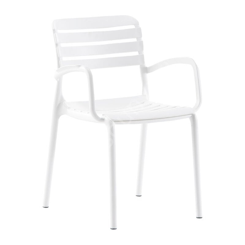 Ventolüx Kollu PP Plastik Sandalye