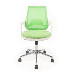 Regal Krom Ayaklı Çalışma Koltuğu Beyaz Yeşil