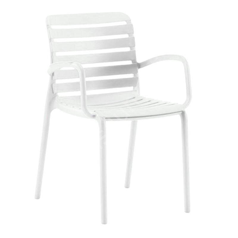 Verdalüx Kollu PP Plastik Sandalye