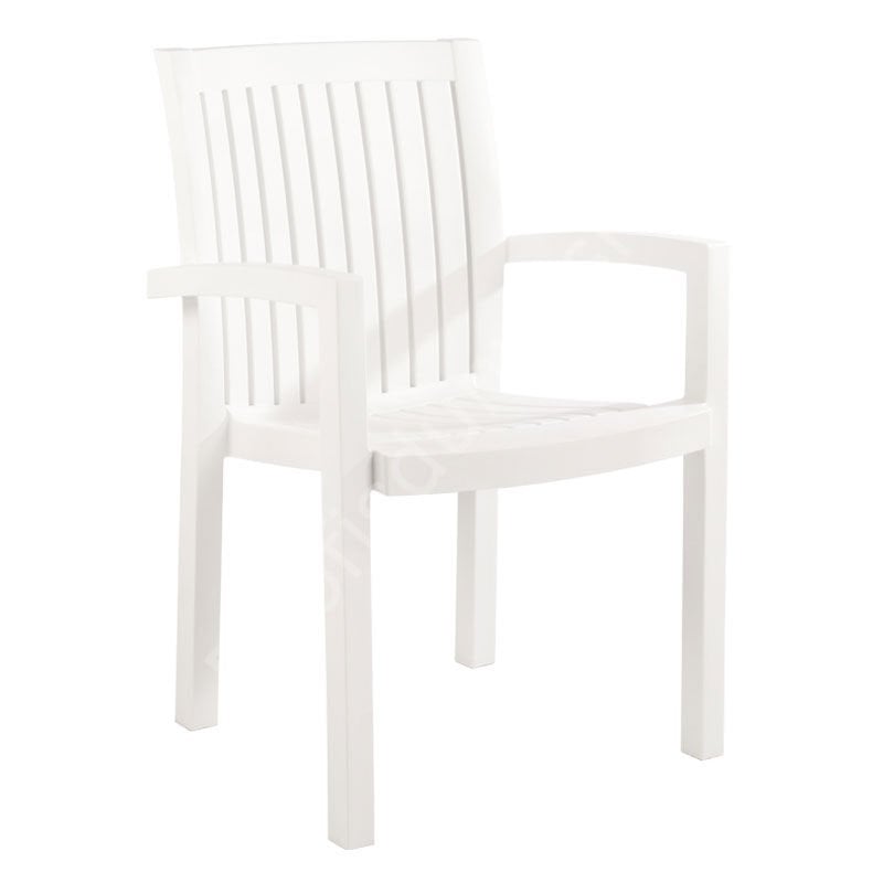 Neta Kollu Plastik Sandalye