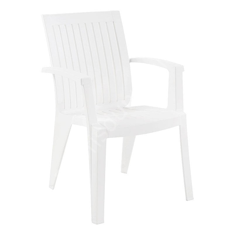 Alize Kollu Plastik Sandalye