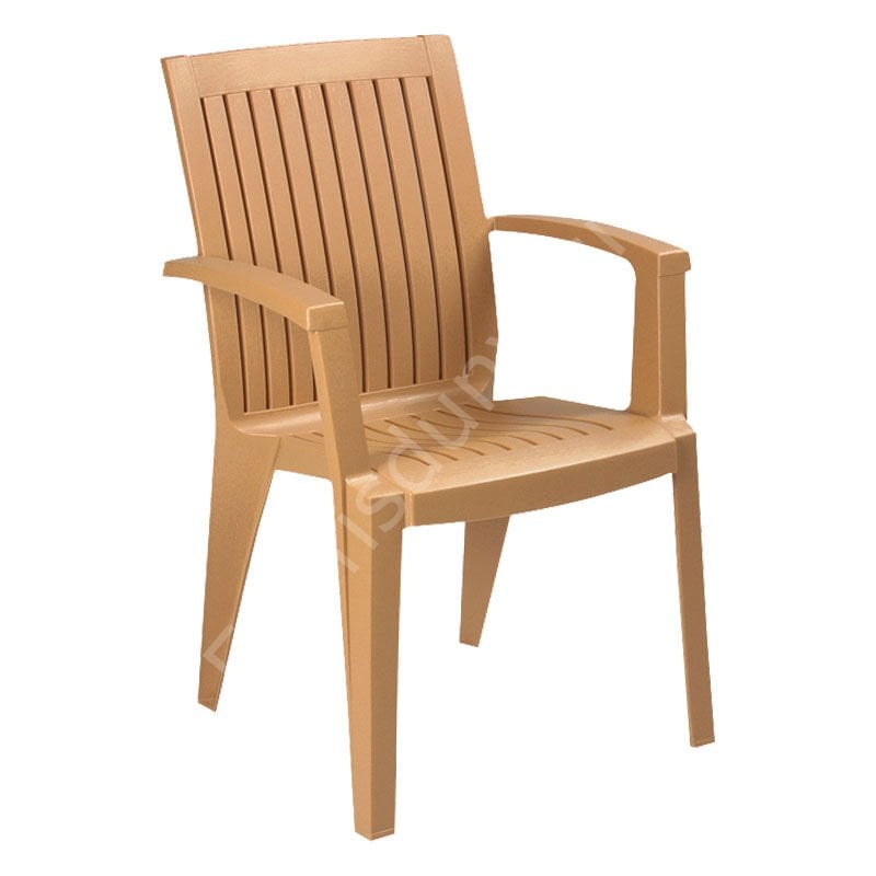 Alize Kollu Plastik Sandalye