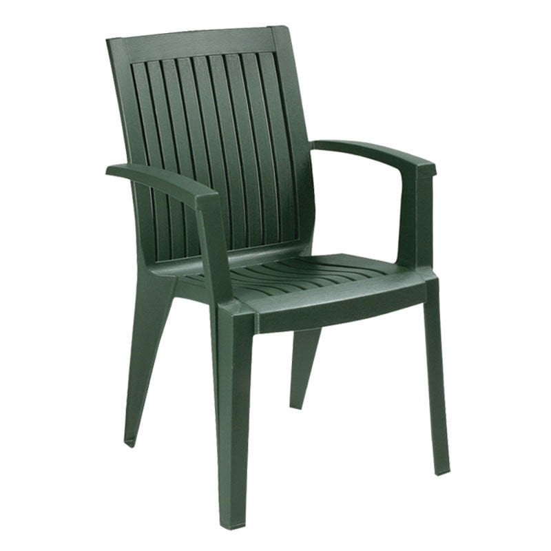 Alize Kollu Plastik Sandalye