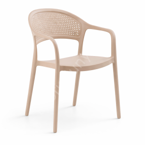 Fares Modern Kollu Plastik Sandalye