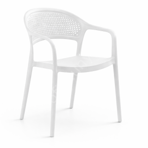 Fares Modern Kollu Plastik Sandalye