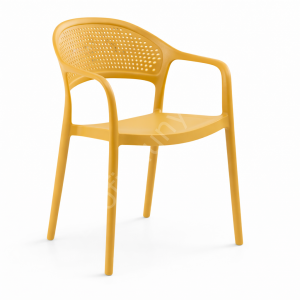 Fares Modern Kollu Plastik Sandalye