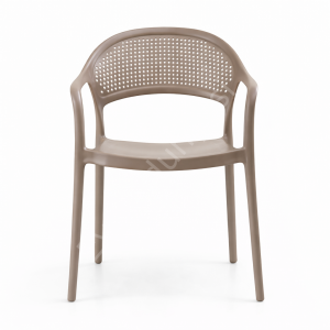 Fares Modern Kollu Plastik Sandalye