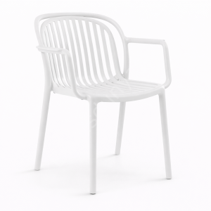 Pure Modern Kollu Plastik Sandalye