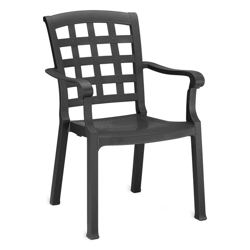 Pasha Plastik Sandalye Antrasit