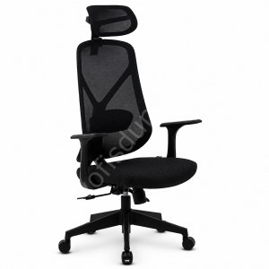 Aeron X Pro Fileli Yönetici Koltuğu