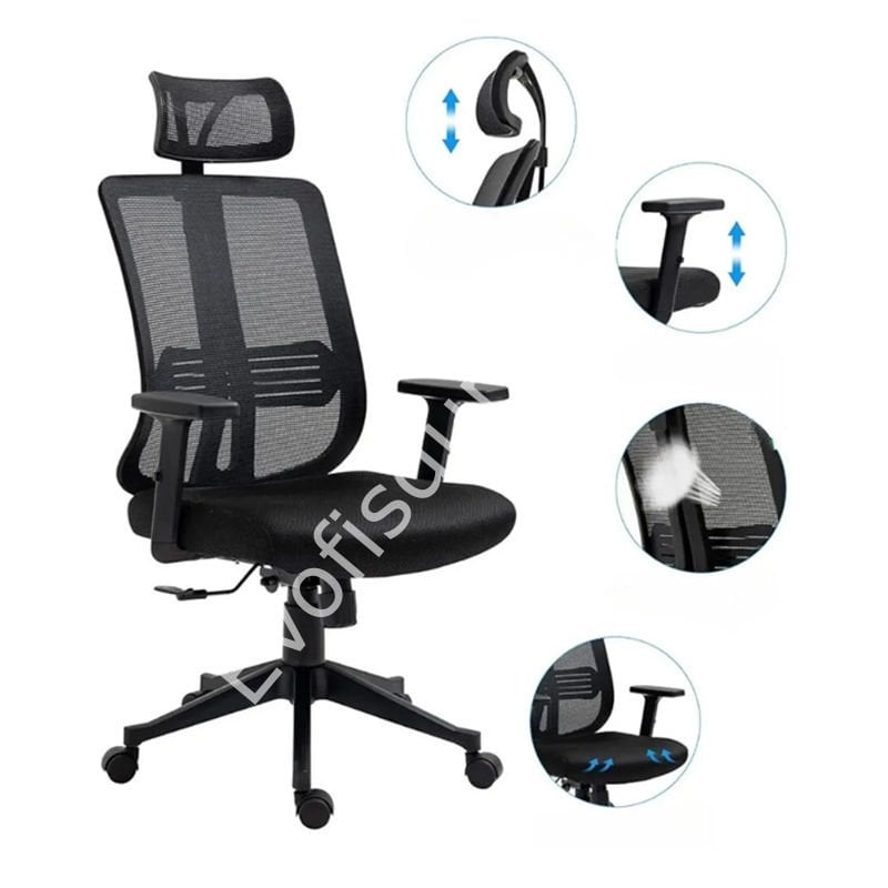 James Stella Kol Müdür Koltuğu