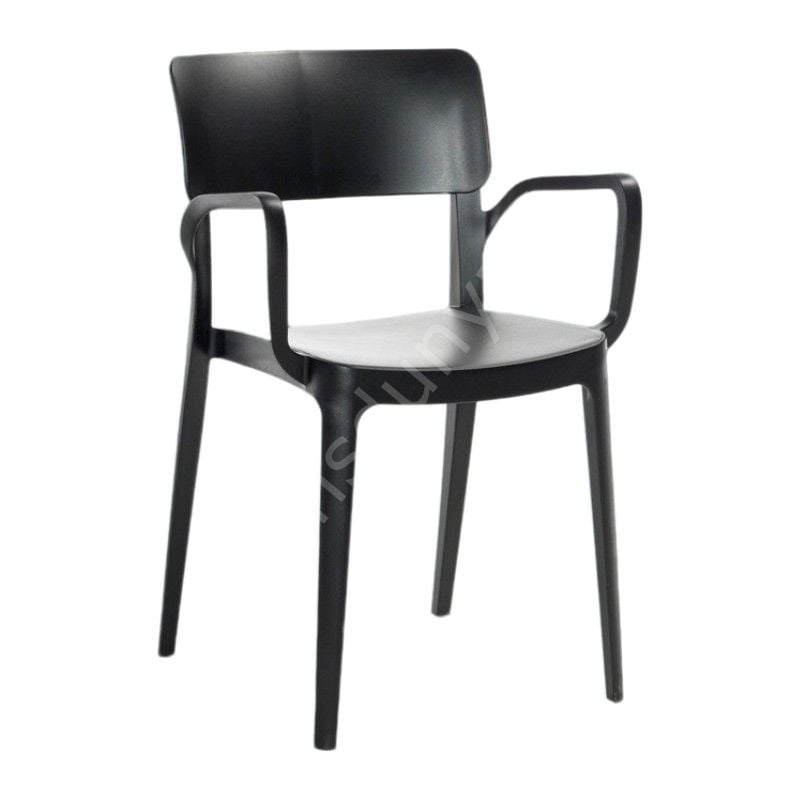 Panor Pp Kollu Sandalye Siyah