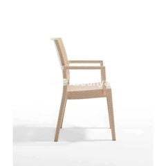 Falkao Kollu Rattan Görünümlü Sandalye Teak