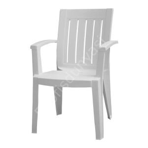 Gustavo Kollu Plastik Sandalye Teak