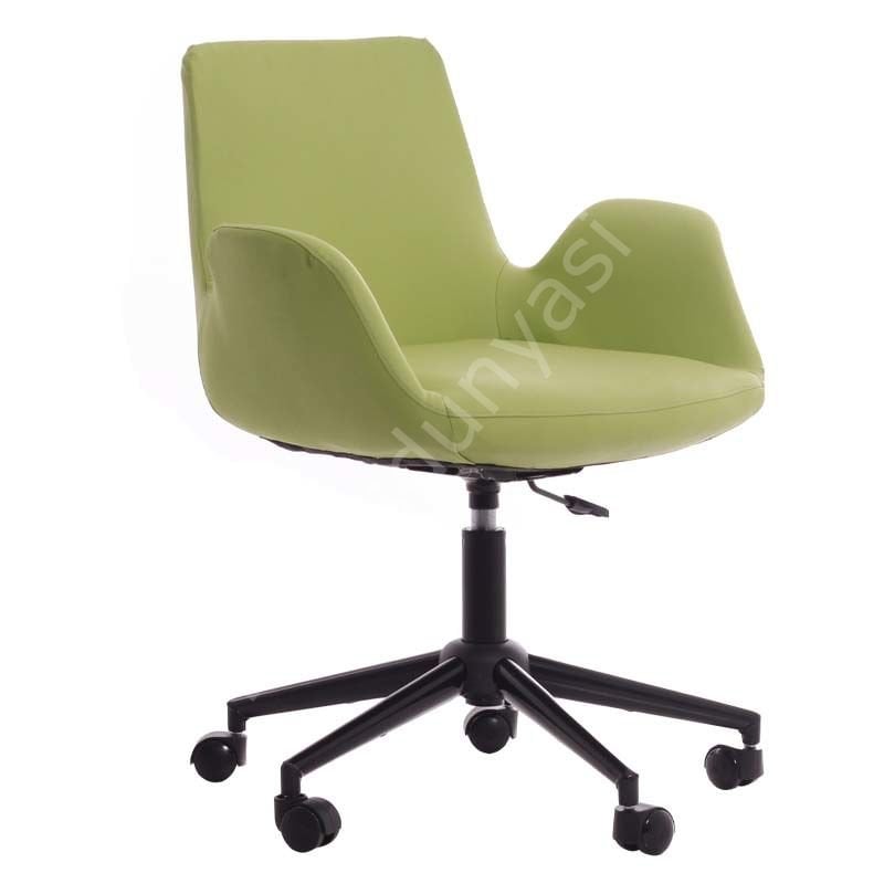 Begüm Deri Çalışma Koltuğu Yeşil - Siyah Boya